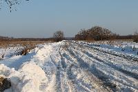 Участок 400.0  соток, Любиж с.